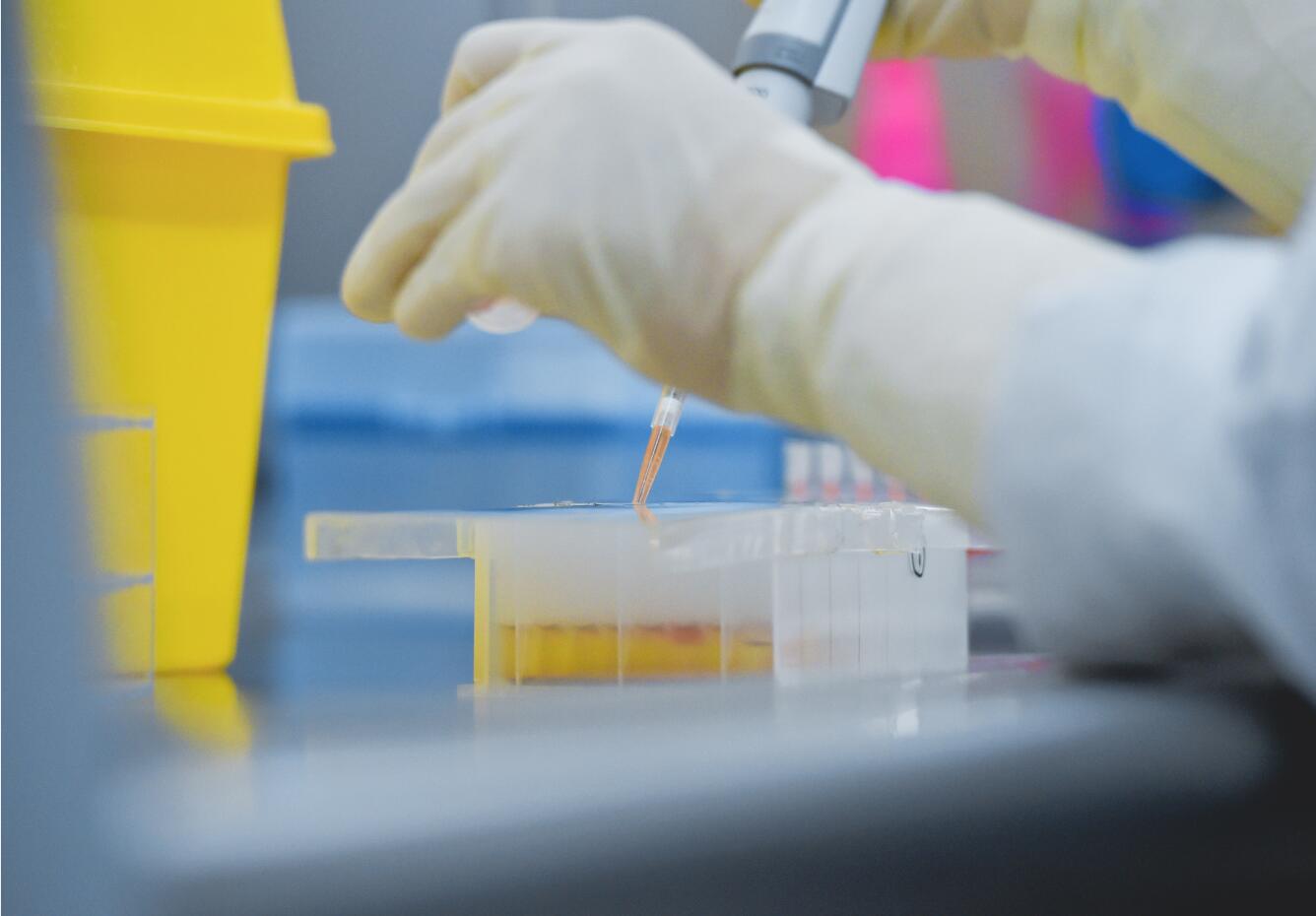 香港金域正式承接香港特區政府核酸檢測工作