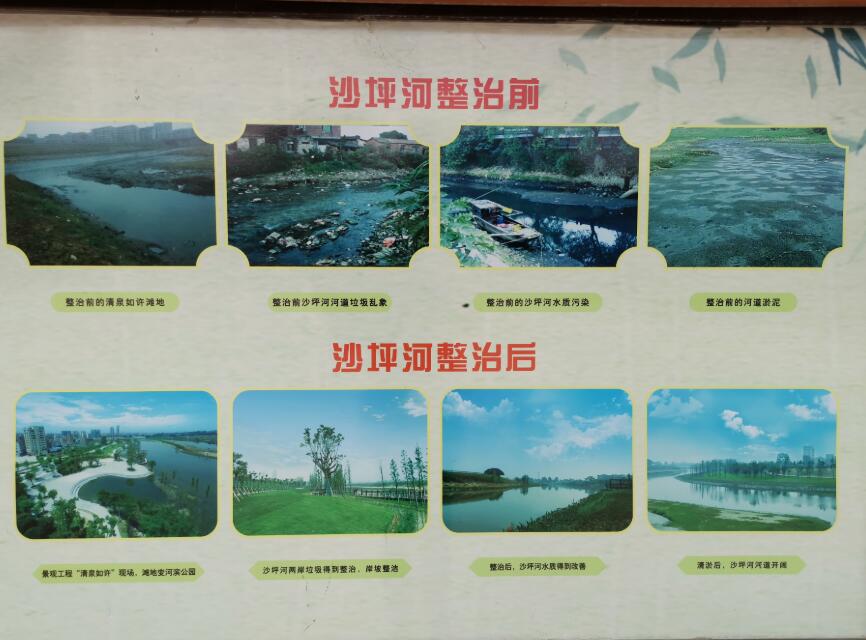 江門：河長制工作獲國務院督查激勵為粵唯一獲此激勵地級市