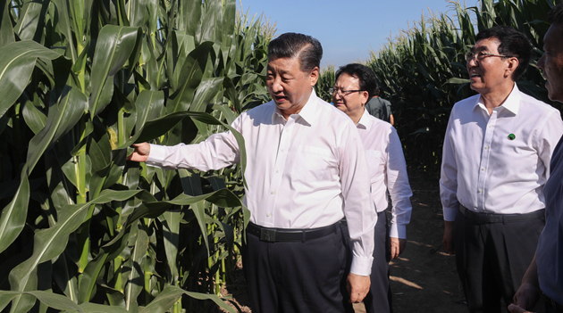 習近平考察吉林 促推東北振興