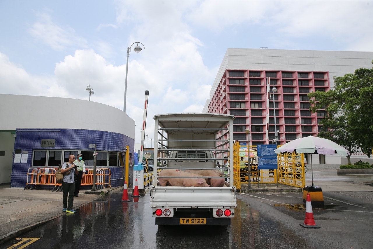 上水屠房三人中招 惹食豬肉感染憂慮 徐德義：没實證