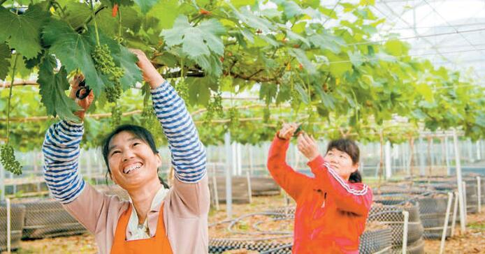 韶關扶貧資產管理獲佳績