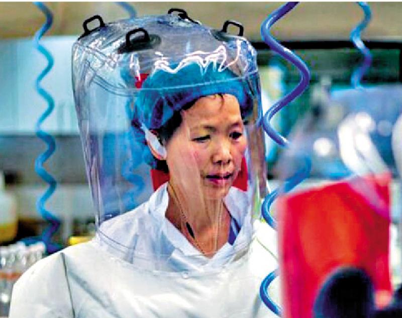 石正麗接受《科學》雜志專訪：“特朗普欠我們一個道歉”