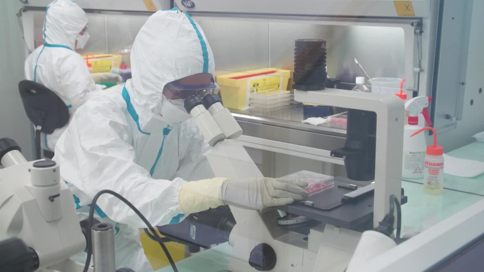 全球新冠疫苗競賽誰先勝出？俄稱8月初「放衛星」