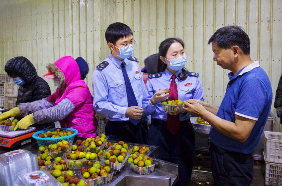 穩中向好  稅收數據透視廣東經濟發展四大亮點