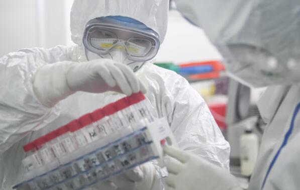 金域醫學全集團調配資源 協助香港開展大規模核酸檢測篩查