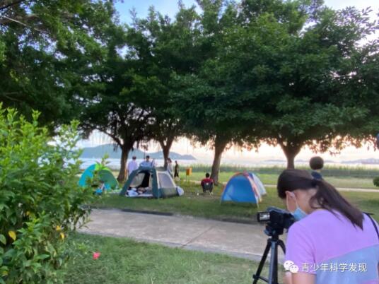 毒毛虫来袭 | 2020香港-纽约 · 国际青少年科学影像大赛参赛作品