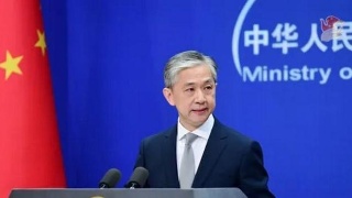 外交部：中方决定香港特区暂停港新移交逃犯协定