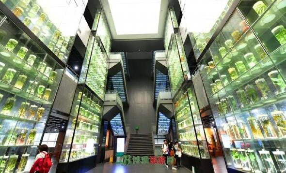 穗加快推進中醫藥強市建設