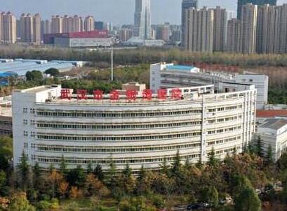 闢谣！武汉金银潭医院无本土新发病例 未向同济求援