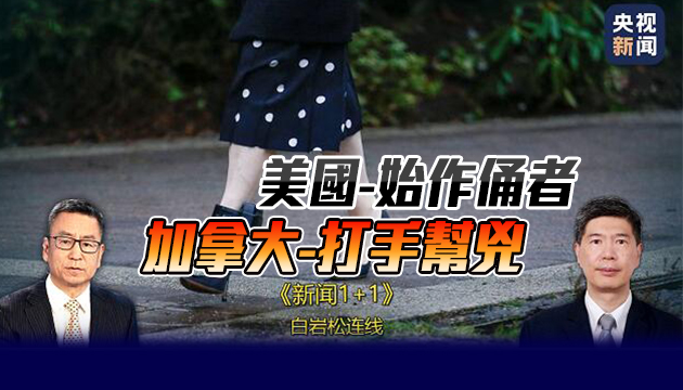 关於孟晚舟案,中国大使透露大量信息!