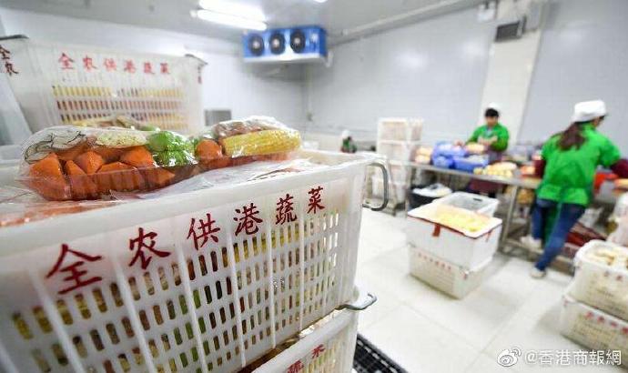 香港“绿色生命线”运行平稳 內地供港食品源源不断