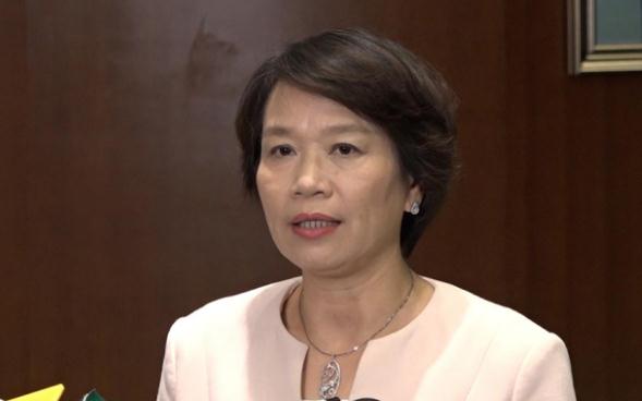 梁美芬:議員延任決定非釋法 直接亦合憲性