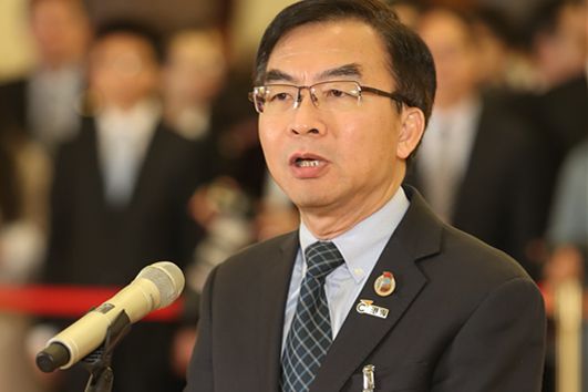 陳卓禧：人大決定突顯了中央依法治國和嚴格落實「一國兩制」