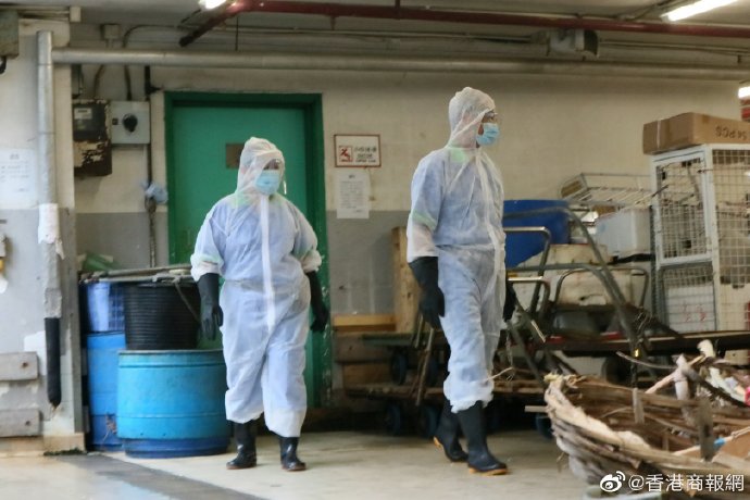 【鑪峰遠眺】反對派須認清形勢支持抗疫