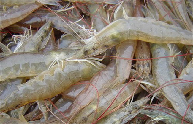 西安一市場厄瓜多爾冷凍生南美白蝦外包裝新冠檢測陽性