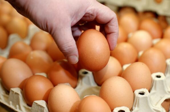 澳洲維多利亞州爆禽流感 港禁禽類產品進口