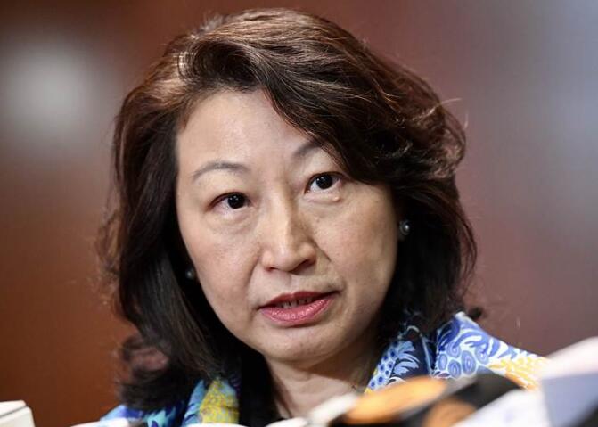 鄭若驊：人大決定符合並尊重「一國兩制」