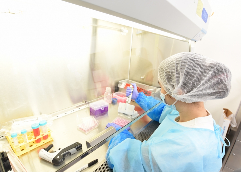 港大研發新型廣譜抗病毒治療策略 有效針對新冠肺炎