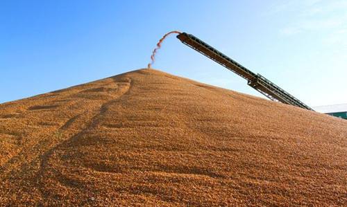 社科院：「十四五」期末可能出现1.3亿吨左右的粮食缺口