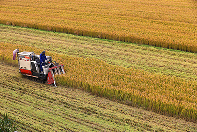农业农村部：7月份农业农村经济运行总体良好 