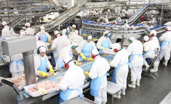 巴西凍雞翼新冠检测阳性 本港禁涉事肉厂产品进口