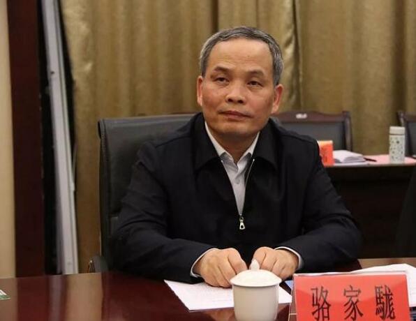 中粮集团有限公司党组成员、总会计师骆家駹被查