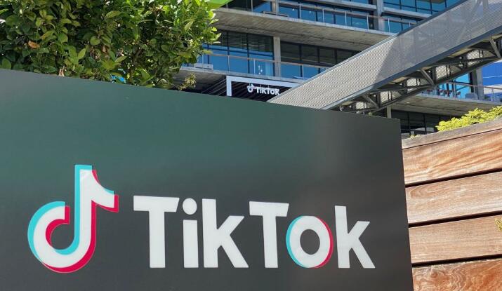 日本官员：暂不禁用Tik Tok 拟要求其变更日本业务所有权