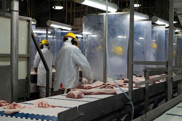 加食品公司逾60名員工確診 暫停向中國出口豬肉