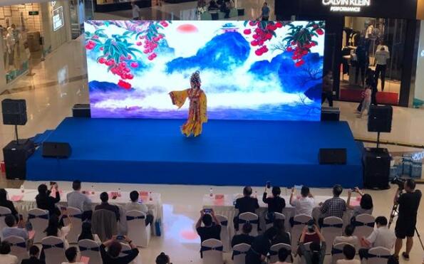 广州、中山、江门三地携手 引西北遊客遊粤港澳大湾区