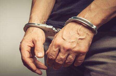 外逃职务犯罪嫌疑人黄金山回国投案