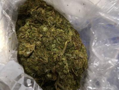 穗海關快件渠道查獲大麻走私案