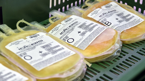 世衛：血漿治療法仍在試驗階段　療效未明