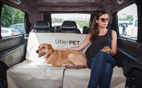 Uber Pet登陸香港 帶寵物乘車附加費20元