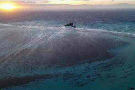 日本货轮漏油影响不断 或致毛里求斯海域珊瑚死亡