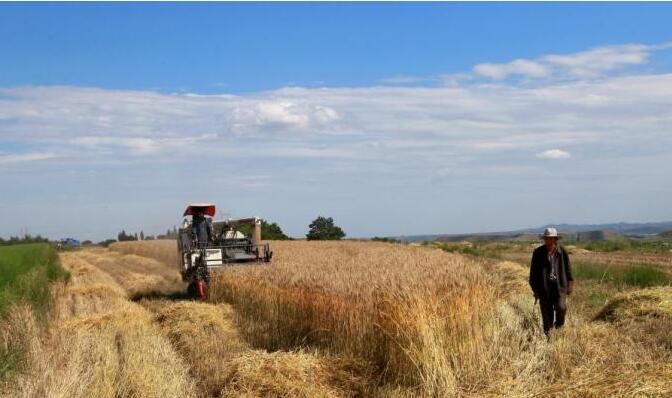 农业农村部回应秋粮生产情况：秋粮丰收有基础