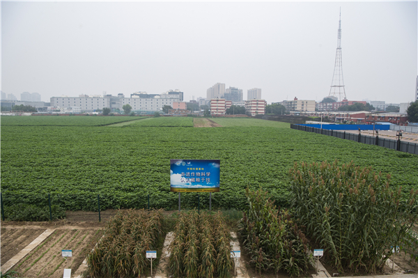糧油供給充裕 避免跟風搶購