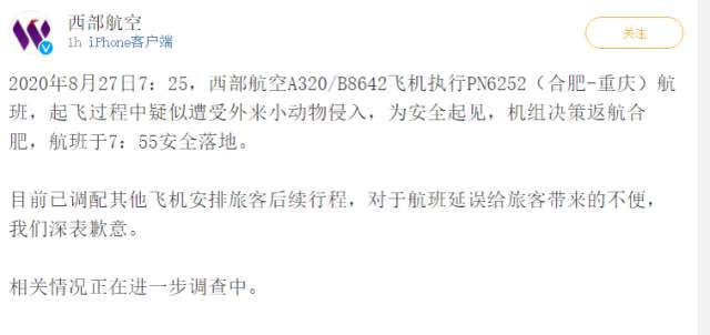 西部航空客机疑遭外来小动物入侵 已返航重新起飞