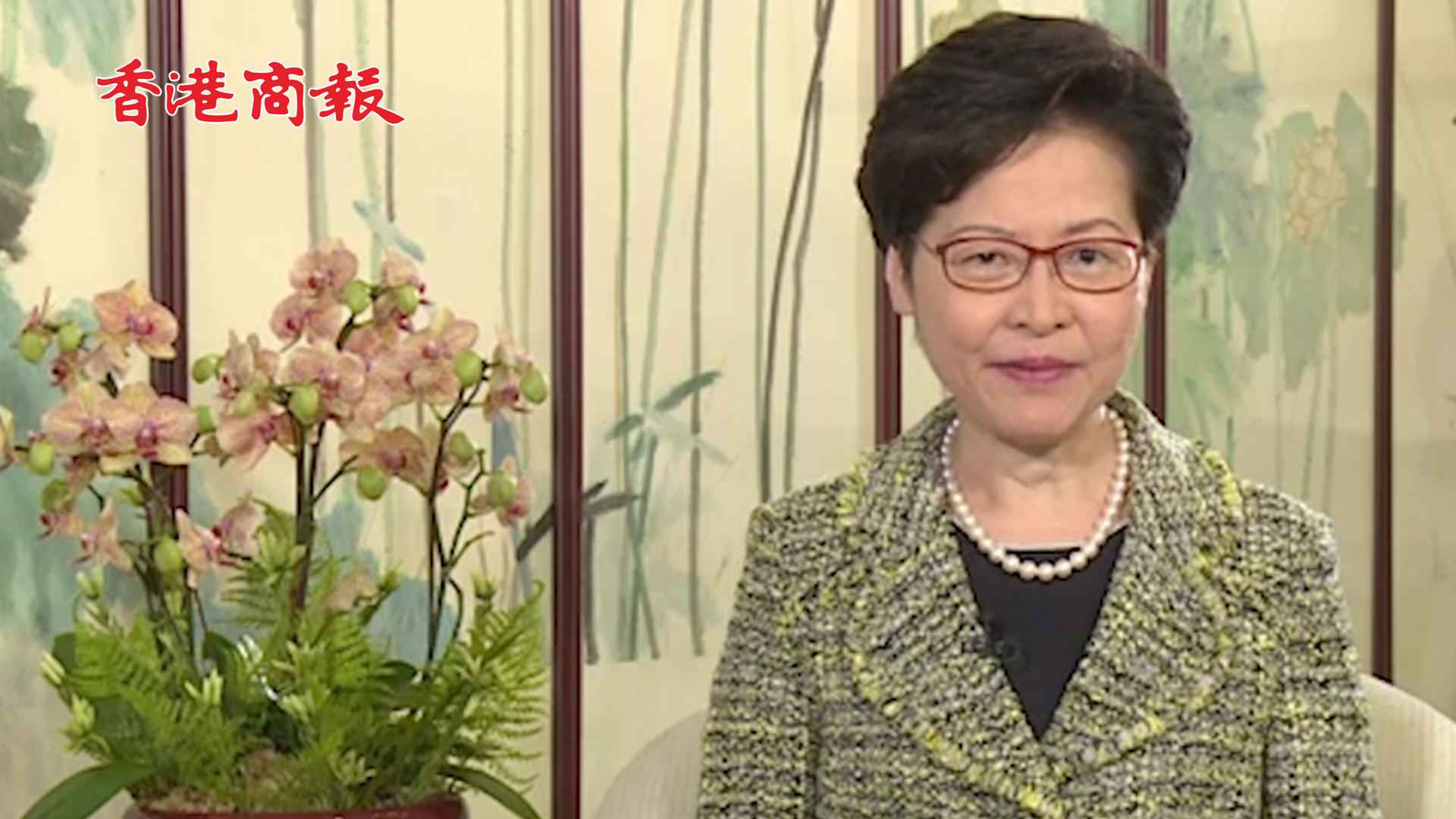 有片丨林郑：深港合作 推进大湾区建设