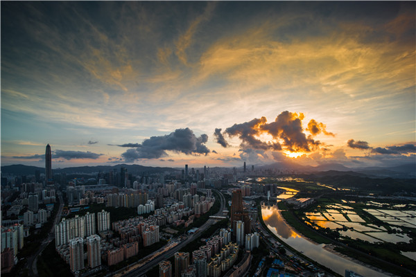 福田灣促中心多維度助力合作區建設