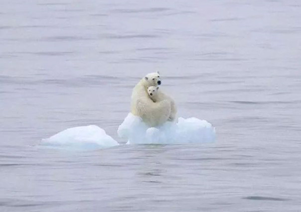 WMO：2020年仍將是有記錄以來最暖的年份之一