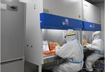 香港僑界社團聯會會長黃楚基：勿將普測污名化，齊心切斷病毒傳播鏈，盡快恢復經濟活動