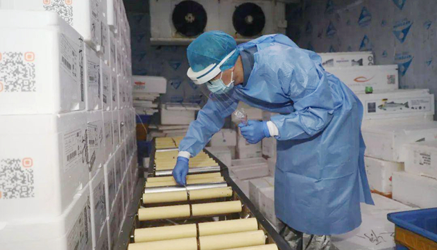 來源可溯 去向可追 風險可控 責任可究 深圳擬智慧化監控凍品