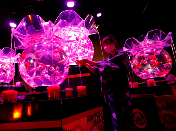 图集｜东京：水族艺术展美轮美奂