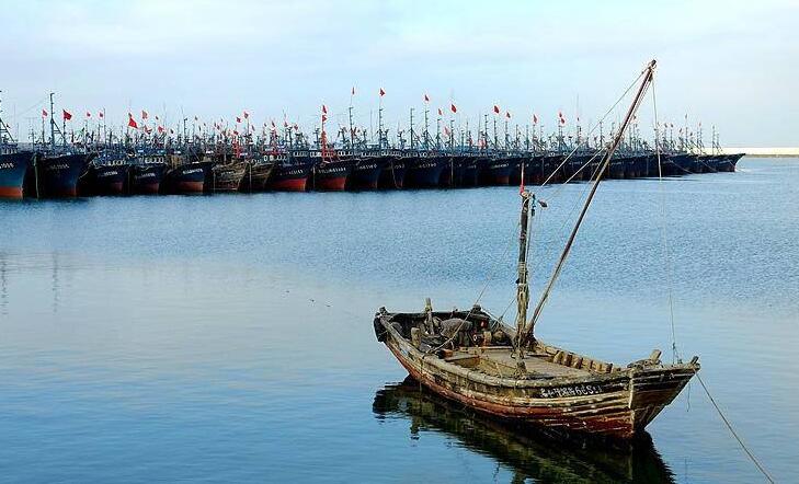 涉休渔期非法捕捞 山东9人被追责