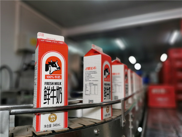 深圳特區40周年，晨光相伴有你「圳」好