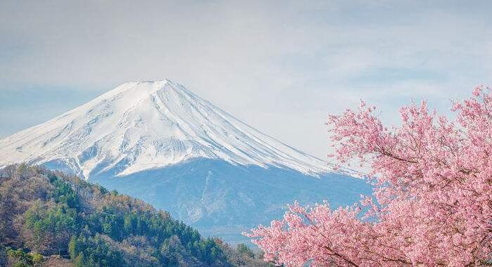台媒：台当局与日本相互开放商务人士入境
