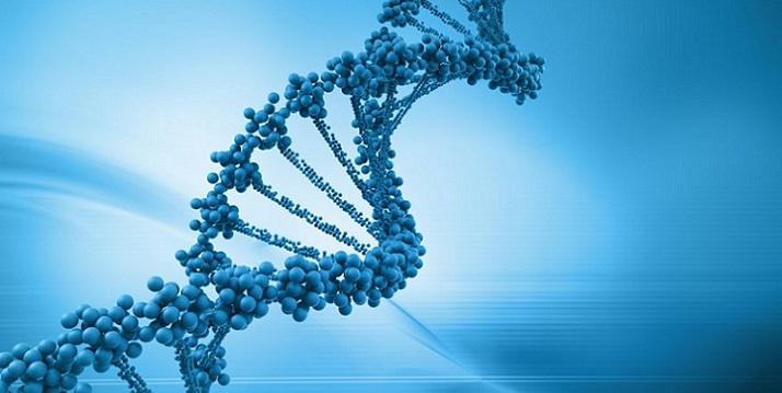 【拆局解码】生科指數今年已升37%