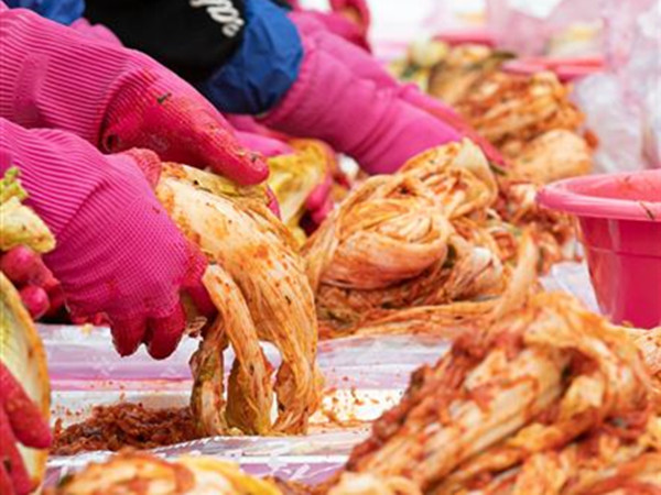 韓泡菜廠集體感染 40噸泡菜已流向市場