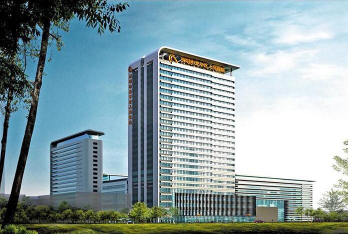 聚共識正導向，龍華政協督辦民生工程要求提速建設