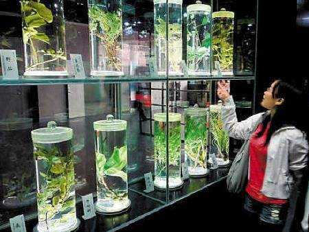 粵力挺中醫藥 拟规定詆毀中醫藥要擔責